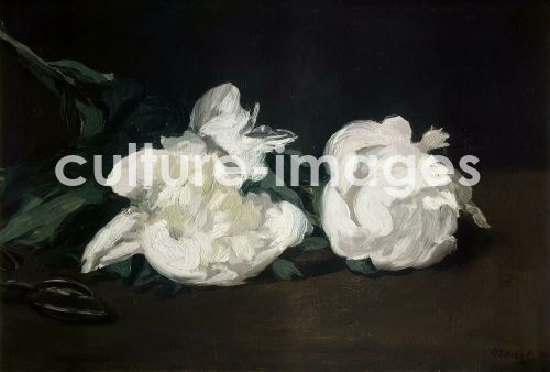 Édouard Manet, Branche de pivoines blanches et sécateur