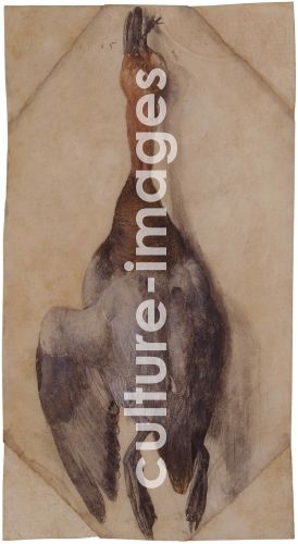 Albrecht Dürer, Tote Ente