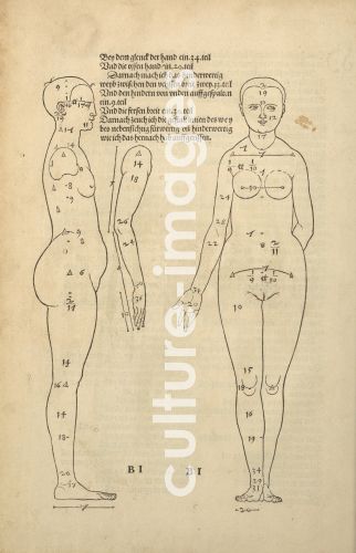 Albrecht Dürer, Illustration aus Vier Bücher von menschlicher Proportion