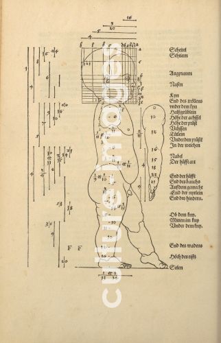 Albrecht Dürer, Illustration aus Vier Bücher von menschlicher Proportion