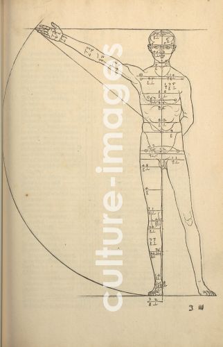Albrecht Dürer, Illustration aus Vier Bücher von menschlicher Proportion