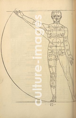 Albrecht Dürer, Illustration aus Vier Bücher von menschlicher Proportion