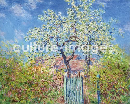 Claude Monet, Poirier en Fleurs (Birnbaum in Blüte)
