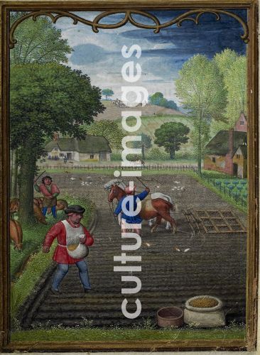 Simon Bening, The Hours of Hennessy (Hours of Notre-Dame). Labors of the Months: September