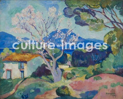 Henri Charles Manguin, L