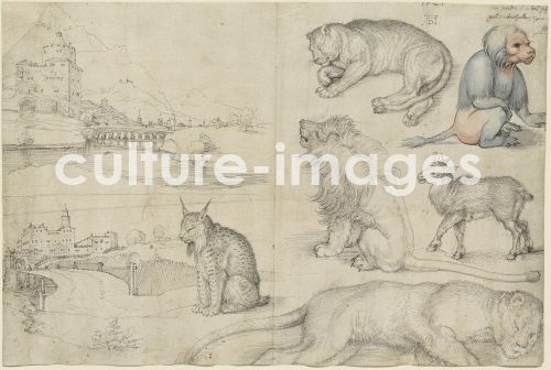 Albrecht Dürer, Sketches of Animals and Landscapes