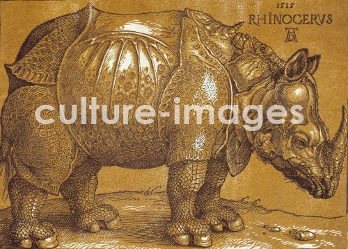Albrecht Dürer, The Rhinoceros