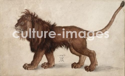 Albrecht Dürer, Lion