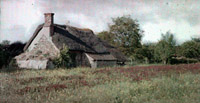 Collections of works of the earliest photographers