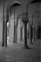 Tunesien, Kairouan. Aus der Sammlung