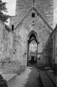 Irland, Muchross Abbey, Killarney National