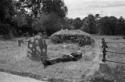 Irland, Muchross Abbey, Killarney National