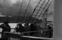 Seefahrt, Schiff vor Gibraltar, .