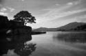 Irland, Killarney, Killarney National Park,