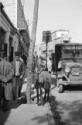 Israel, Jerusalem, Palästina, heilige Stadt,