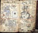 Codex Tro-Cortesianus, Manuskript in der Maya-Schrift (Mayaglyphen), Madrider Kodex