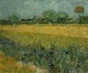 Vincent van Gogh, Feld mit Blumen in der Nähe von Arles