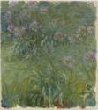 Claude Monet, Schmucklilien