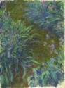 Claude Monet, Irise