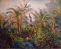 Claude Monet, Garten in Bordighera