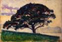 Paul Signac, Große Pinie, Saint-Tropez