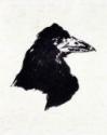 Édouard Manet, Le Corbeau (Der Rabe) Illustration zum Gedicht Der Rabe von Edgar Allan Poe
