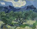 Vincent van Gogh, Olivenbäume