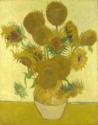 Vincent van Gogh, Die Sonnenblumen