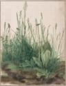 Albrecht Dürer, The Large Piece of Turf