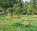 Camille Pissarro, The Orchard at Éragny