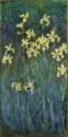 Claude Monet, Yellow Irises