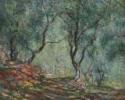 Claude Monet, Bois d'oliviers au jardin Moreno