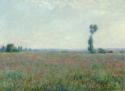 Claude Monet, Poppy field