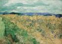 Vincent van Gogh, Wheatfield With Cornflowers