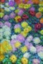Claude Monet, Chrysanthemums
