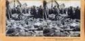 The Khodynka Tragedy