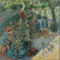 Camille Pissarro, Apple Picking