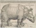 Albrecht Dürer, The Rhinoceros
