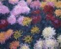 Claude Monet, Massif de chrysanthèmes (Chrysanthemenbeet)