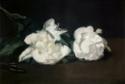 Édouard Manet, Branche de pivoines blanches et sécateur