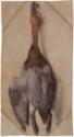 Albrecht Dürer, Tote Ente