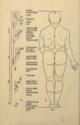 Albrecht Dürer, Illustration aus Vier Bücher von menschlicher Proportion
