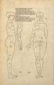 Albrecht Dürer, Illustration aus Vier Bücher von menschlicher Proportion