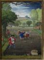 Simon Bening, The Hours of Hennessy (Hours of Notre-Dame). Labors of the Months: September