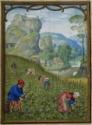 Simon Bening, The Hours of Hennessy (Hours of Notre-Dame). Labors of the Months: October