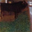Gustav Klimt, The Black Bull