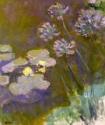 Claude Monet, Seerosen und Agapanthus