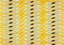 Warwara Fjodorowna Stepanowa, Textile design in Yellow and Black