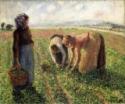 Camille Pissarro, Pea Harvest, Eragny