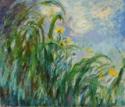 Claude Monet, Yellow irises